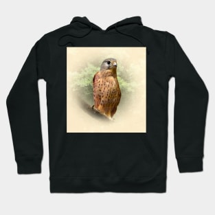 Kestrel Hoodie